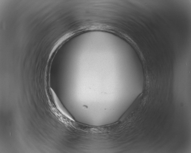 X0000085081138200703261251