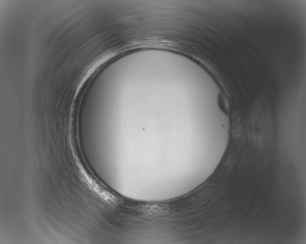 X0000085081139200703261251