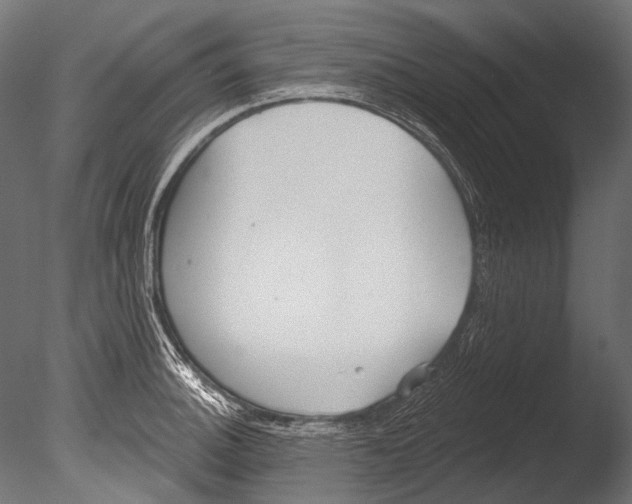 X0000085081140200703261251