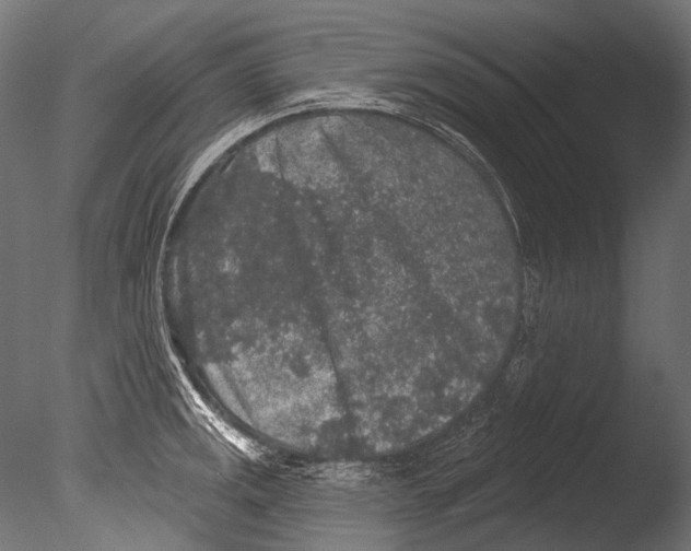 X0000085081141200703261251