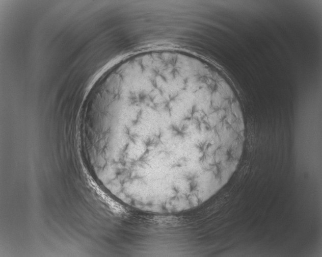 X0000085081142200703261251