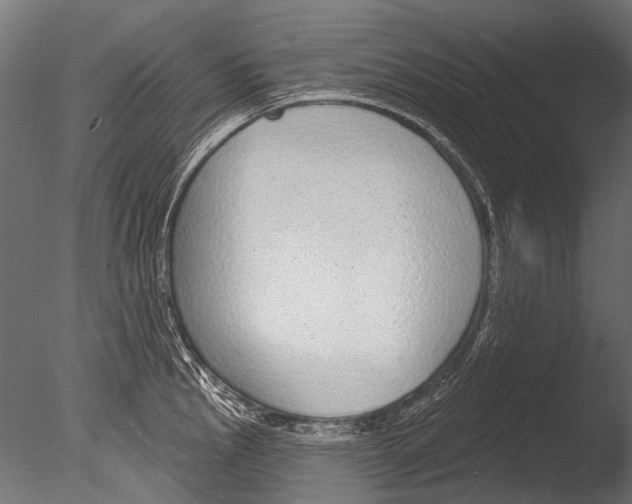 X0000085081145200703261251