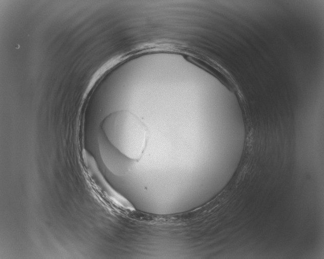 X0000085081146200703261251