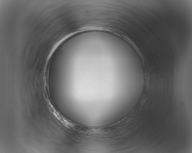 X0000085081148200703261251