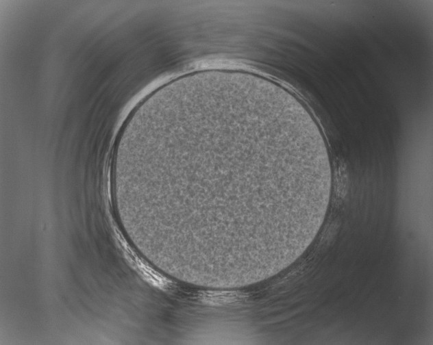 X0000085081150200703261251