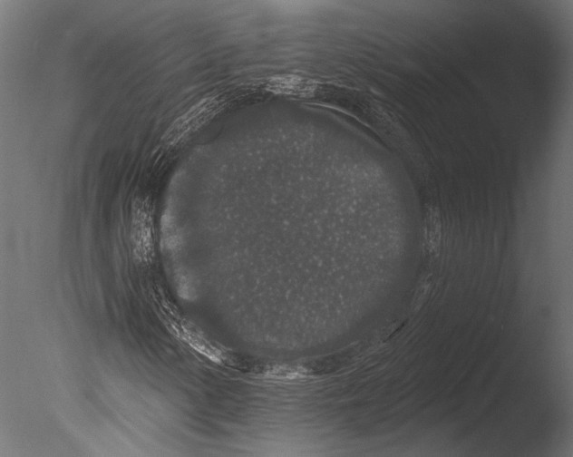 X0000085081154200703261250