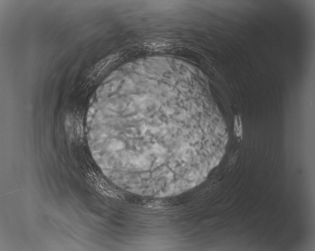 X0000085081155200703261250