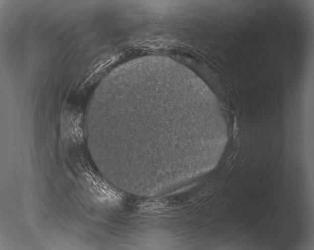 X0000085081156200703261250