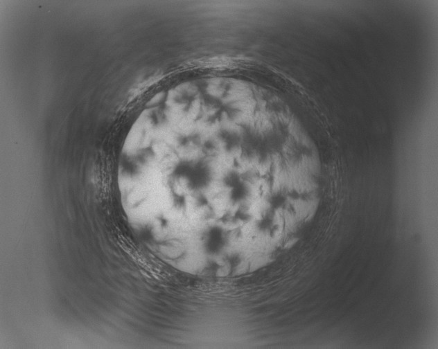 X0000085081158200703261250