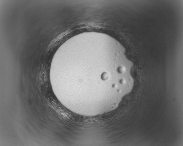 X0000085081159200703261250