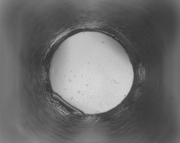 X0000085081160200703261250