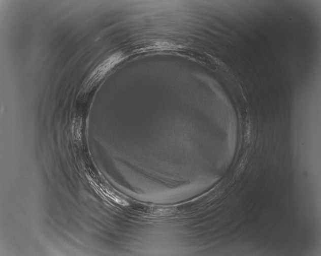 X0000085081161200703261250