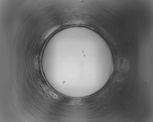 X0000085081162200703261250