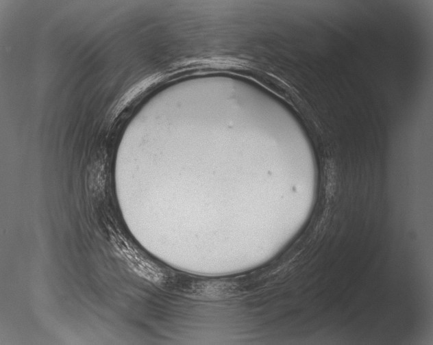 X0000085081163200703261250