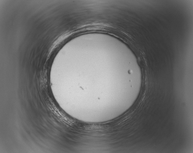 X0000085081164200703261250