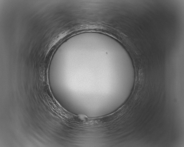 X0000085081165200703261250