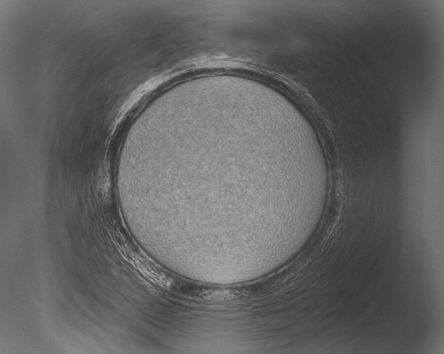 X0000085081167200703261250