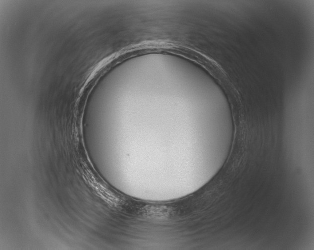 X0000085081168200703261250