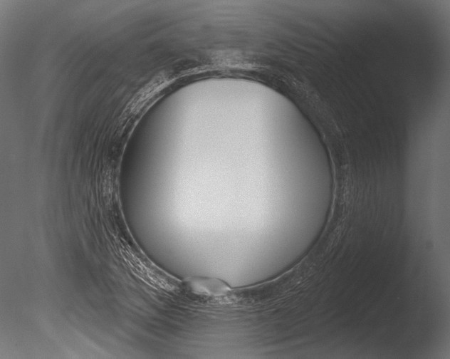 X0000085081169200703261250