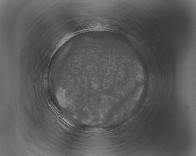 X0000085081170200703261250