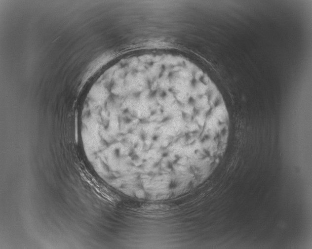 X0000085081171200703261250