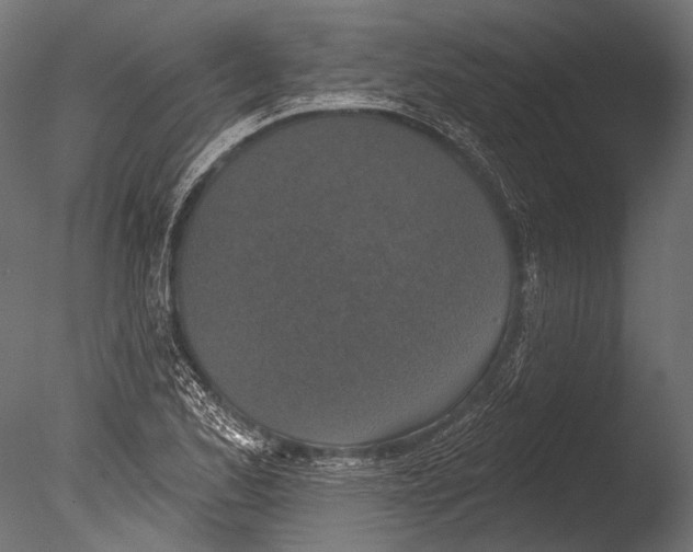 X0000085081173200703261250