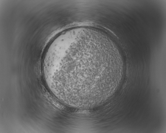 X0000085081174200703261250