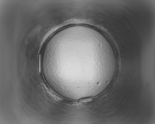 X0000085081175200703261250