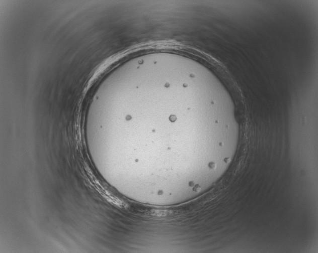 X0000085081176200703261250