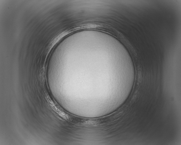 X0000085081178200703261250