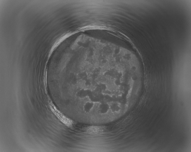 X0000085081179200703261250