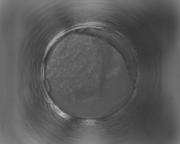 X0000085081180200703261250