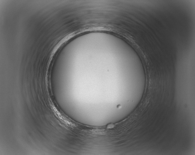 X0000085081181200703261250