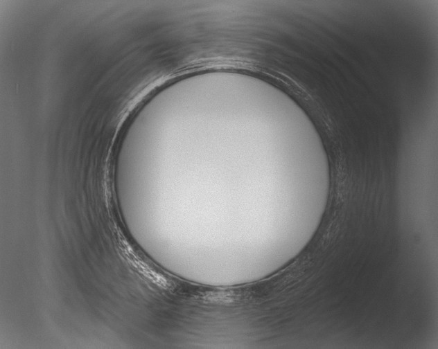 X0000085081182200703261250