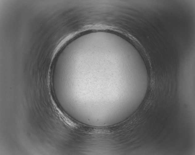 X0000085081183200703261250