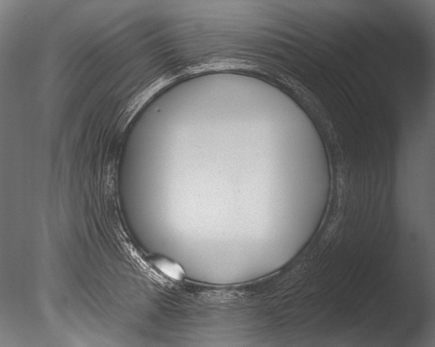 X0000085081185200703261250