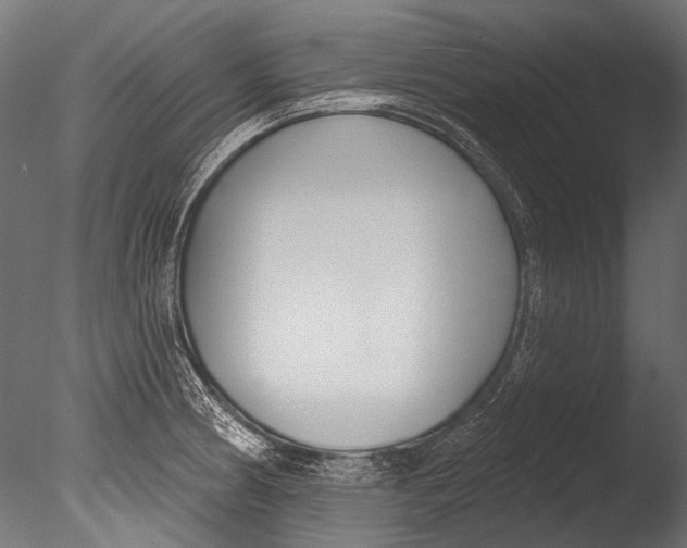 X0000085081186200703261250