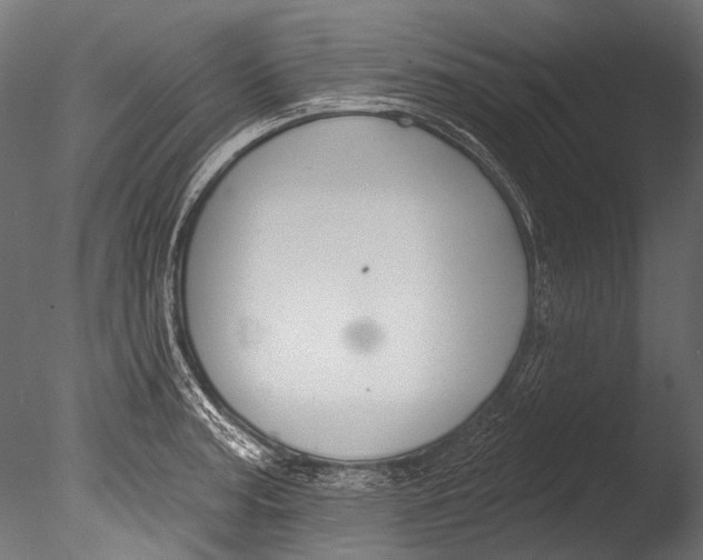 X0000085081187200703261250