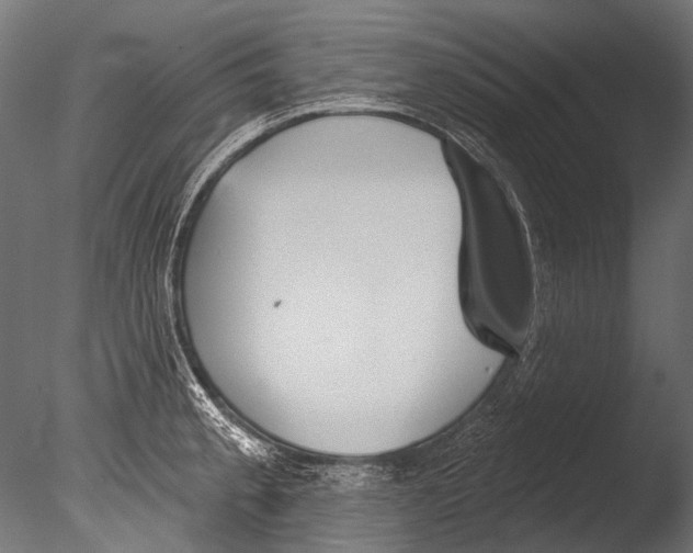 X0000085081189200703261250