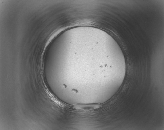 X0000085081192200703261250