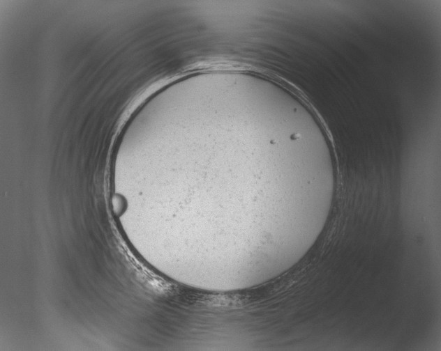 X0000085081195200703261250