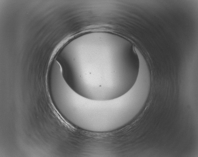 X0000085081196200703261250