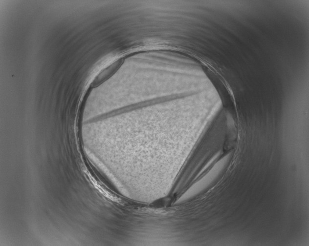 X0000085081197200703261250