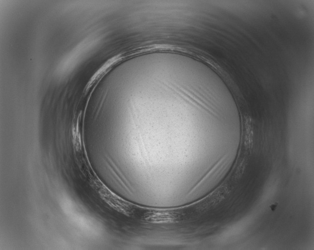 X0000085081198200703261250