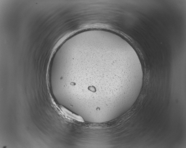 X0000085081199200703261250