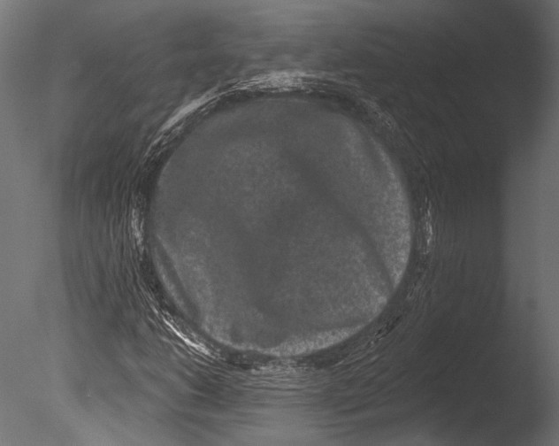 X0000085081206200703261249