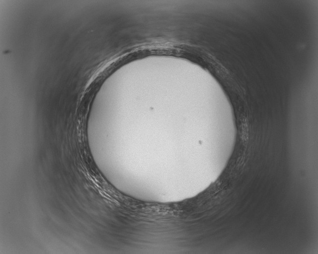 X0000085081208200703261249