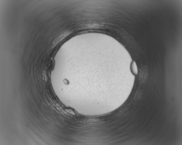 X0000085081209200703261249