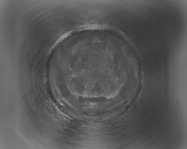 X0000085081213200703261249