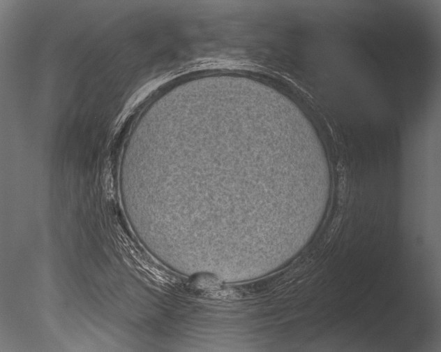 X0000085081215200703261249